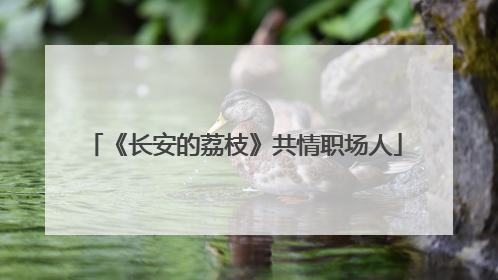 《长安的荔枝》共情职场人
