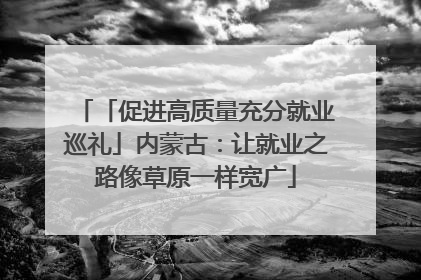 「促进高质量充分就业巡礼」内蒙古：让就业之路像草原一样宽广