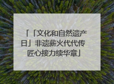 「文化和自然遗产日」非遗薪火代代传 匠心接力续华章