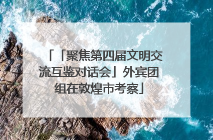 「聚焦第四届文明交流互鉴对话会」外宾团组在敦煌市考察