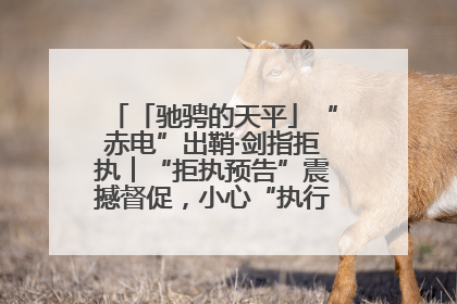 「驰骋的天平」“赤电”出鞘·剑指拒执︱“拒执预告”震撼督促，小心“执行”变“执刑”