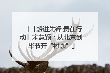 「黔进先锋·贵在行动」宋慧颖：从北京到毕节开“村咖”