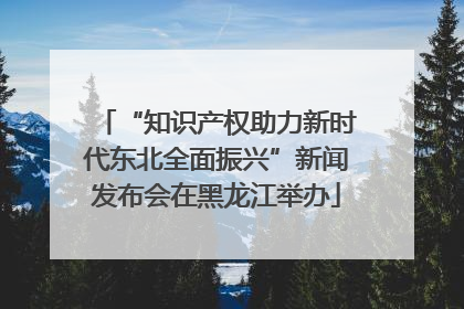 “知识产权助力新时代东北全面振兴”新闻发布会在黑龙江举办