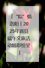 “粽”情洛阳丨2025年嵩县端午文旅活动精彩纷呈
