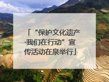 “保护文化遗产·我们在行动”宣传活动在泉举行