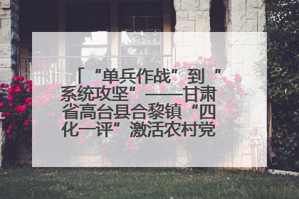 “单兵作战”到“系统攻坚”——甘肃省高台县合黎镇“四化一评”激活农村党员管理新引擎