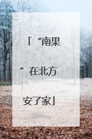 “南果”在北方安了家