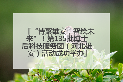 “博聚雄安，智绘未来”！第135批博士后科技服务团（河北雄安）活动成功举办