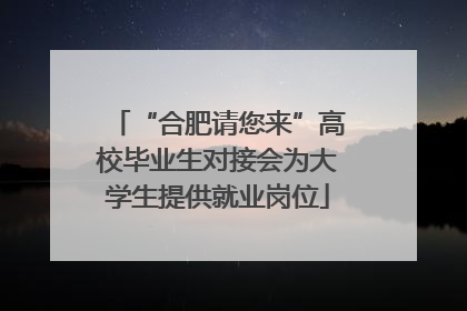 “合肥请您来”高校毕业生对接会为大学生提供就业岗位