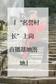 “名誉村长”上岗 直播基地落地
