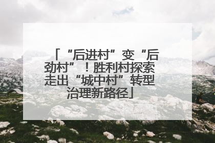 “后进村”变“后劲村”！胜利村探索走出“城中村”转型治理新路径