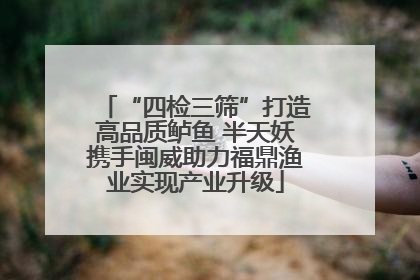 “四检三筛”打造高品质鲈鱼 半天妖携手闽威助力福鼎渔业实现产业升级