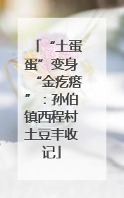 “土蛋蛋”变身“金疙瘩”：孙伯镇西程村土豆丰收记