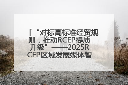 “对标高标准经贸规则，推动RCEP提质升级”——2025RCEP区域发展媒体智库论坛举行专题对话