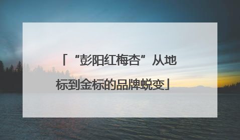 “彭阳红梅杏”从地标到金标的品牌蜕变