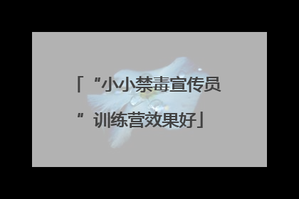“小小禁毒宣传员”训练营效果好