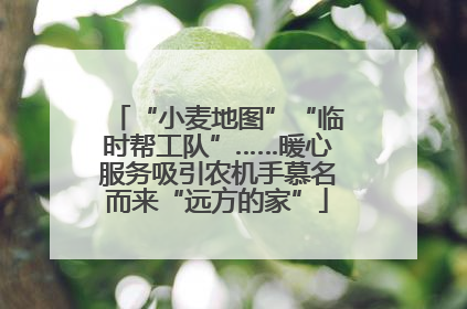 “小麦地图”“临时帮工队”……暖心服务吸引农机手慕名而来“远方的家”