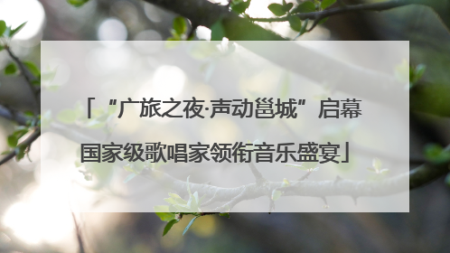 “广旅之夜·声动邕城”启幕 国家级歌唱家领衔音乐盛宴