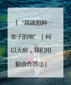 “我就想种一辈子的地”｜何以天府，我们用粮食作答②