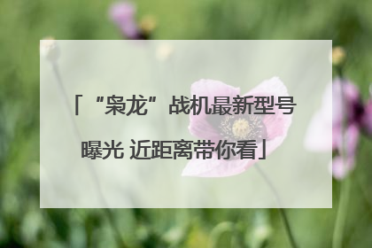 “枭龙”战机最新型号曝光 近距离带你看