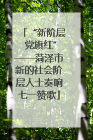 “新阶层 党旗红”——菏泽市新的社会阶层人士奏响七一赞歌