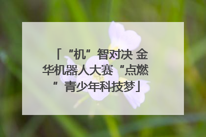 “机”智对决 金华机器人大赛“点燃”青少年科技梦