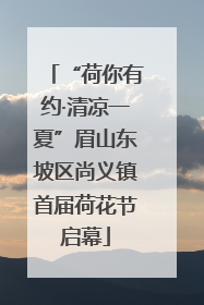 “荷你有约·清凉一夏”眉山东坡区尚义镇首届荷花节启幕