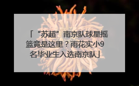 “苏超”南京队球星摇篮竟是这里？雨花实小9名毕业生入选南京队