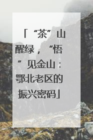 “茶”山醒绿，“悟”见金山：鄂北老区的振兴密码