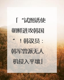 “试图诱使朝鲜进攻韩国”！韩议员：韩军曾派无人机侵入平壤
