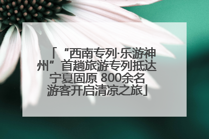 “西南专列·乐游神州”首趟旅游专列抵达宁夏固原 800余名游客开启清凉之旅