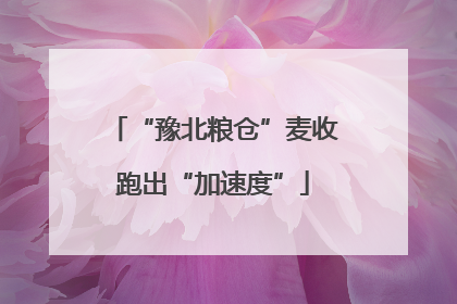 “豫北粮仓”麦收跑出“加速度”