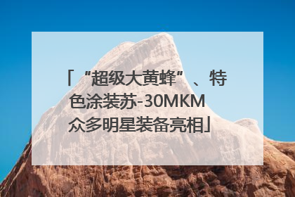 “超级大黄蜂”、特色涂装苏-30MKM 众多明星装备亮相