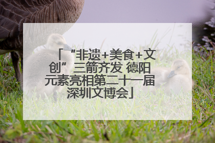 “非遗+美食+文创”三箭齐发 德阳元素亮相第二十一届深圳文博会