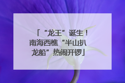 “龙王”诞生！南海西樵“半山扒龙船”热闹开锣