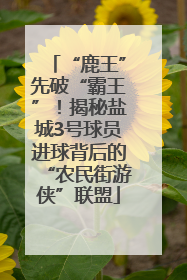 “鹿王”先破“霸王”！揭秘盐城3号球员进球背后的“农民街游侠”联盟