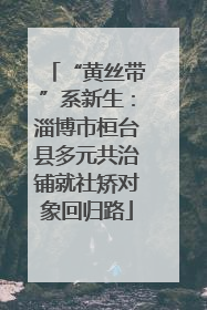 “黄丝带”系新生：淄博市桓台县多元共治铺就社矫对象回归路