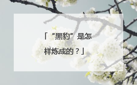 “黑豹”是怎样炼成的？
