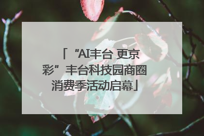 “AI丰台 更京彩”丰台科技园商圈消费季活动启幕