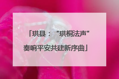 珙县：“珙桐法声”奏响平安共建新序曲
