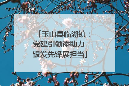玉山县临湖镇：党建引领添助力 银发先锋展担当