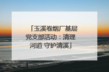 玉溪卷烟厂基层党支部活动：清理河道 守护清溪