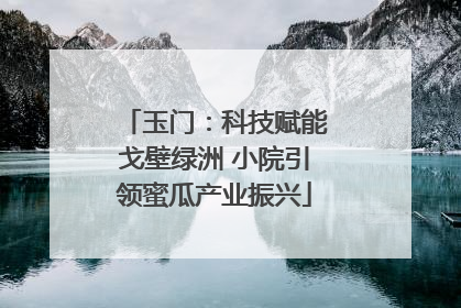 玉门：科技赋能戈壁绿洲 小院引领蜜瓜产业振兴