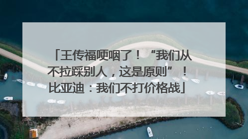王传福哽咽了！“我们从不拉踩别人，这是原则”！比亚迪：我们不打价格战