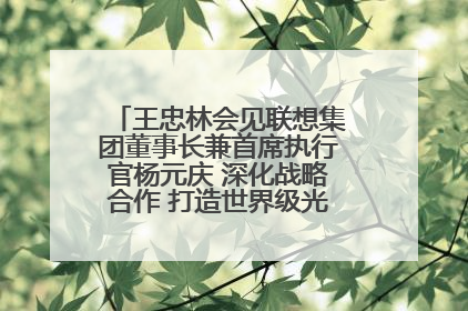 王忠林会见联想集团董事长兼首席执行官杨元庆 深化战略合作 打造世界级光电子信息产业集群