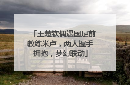 王楚钦偶遇国足前教练米卢，两人握手拥抱，梦幻联动