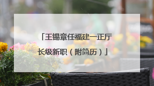 王锡章任福建一正厅长级新职（附简历）