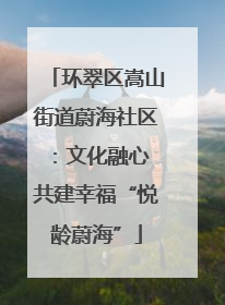 环翠区嵩山街道蔚海社区：文化融心 共建幸福“悦龄蔚海”