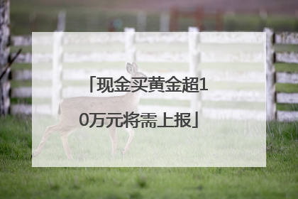 现金买黄金超10万元将需上报