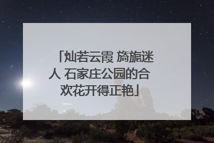 灿若云霞 旖旎迷人 石家庄公园的合欢花开得正艳